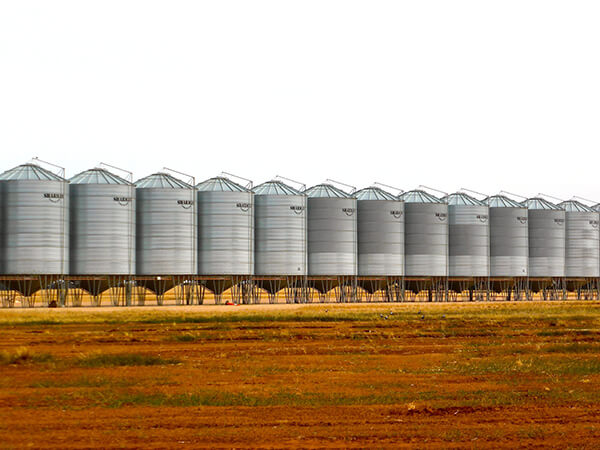 Domain Track: Commodity and Food Storage