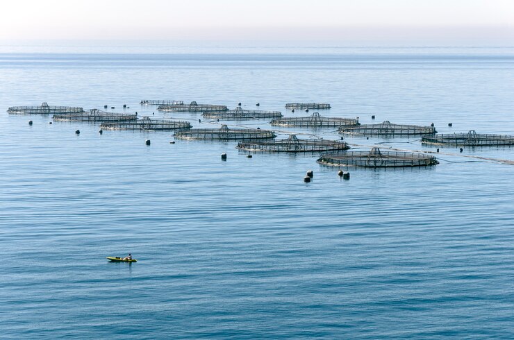 Domain Track: Intensive Aquaculture